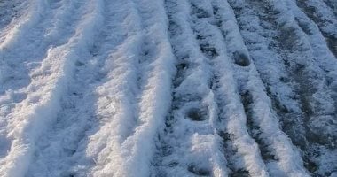 البرد القارس فى الطريق.. شرق الولايات المتحدة يستعد لأبرد شتاء منذ سنوات