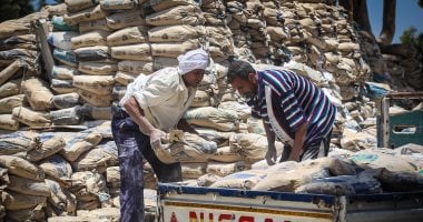 سعر الأسمنت اليوم الاثنين 10-2-2025.. اعرف تفاصيل الأسعار