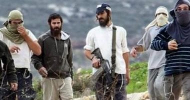 مستعمرون يحرثون أراضي زراعية في الأغوار الشمالية الفلسطينية مستعمرون يحرثون أراضي زراعية في الأغوار الشمالية الفلسطينية