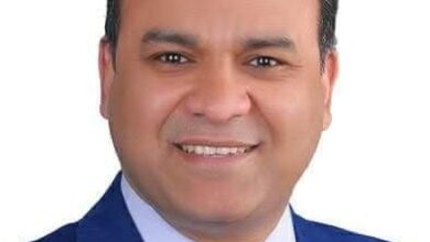 *المشهد السياسي المصري 2025: دور الأحزاب السياسية وشكلها في المستقبل القريب* *بقلم الدكتور ناصر الجندي*