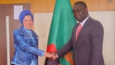 سفيرة مصر فى لوساكا تلتقى وزير التجارة والصناعة الزامبي سفيرة مصر فى لوساكا تلتقى وزير التجارة والصناعة الزامبي