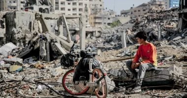 "الفاو": تدمير 75% من حقول المحاصيل الزراعية في غزة بسبب الحرب الإسرائيلية "الفاو": تدمير 75% من حقول المحاصيل الزراعية في غزة بسبب الحرب الإسرائيلية