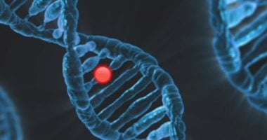 VEXAS.. مرض فيكساس متلازمة نادرة والرجال أكثر عرضة للخطر VEXAS.. مرض فيكساس متلازمة نادرة والرجال أكثر عرضة للخطر