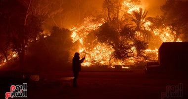 تقرير: غابات الأمازون في البرازيل تشهد أعلى عدد من الحرائق منذ 17 عامًا