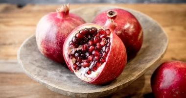 شباب على طول.. دراسة على أشخاص بلغوا 100 عام توضح سر نظامهم الغذائى