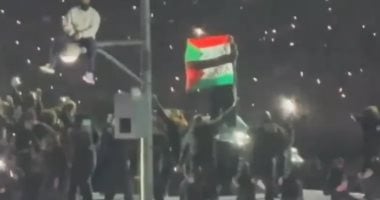 اعتقال شخص فى مباراة السوبر بول بعد رفعه علمى فلسطين والسودان.. فيديو