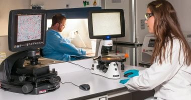 ثورة طبية.. كيف نفهم تطورات العلاج المناعى للسرطان ثورة طبية.. كيف نفهم تطورات العلاج المناعى للسرطان