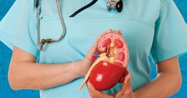 ما هو قصور وظائف الكلى. .طرق العلاج والوقاية ما هو قصور وظائف الكلى. .طرق العلاج والوقاية