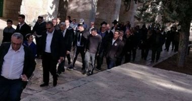 مستوطنون يعتدون على رعاة الماشية غرب بردلة بالأغوار الشمالية مستوطنون يعتدون على رعاة الماشية غرب بردلة بالأغوار الشمالية