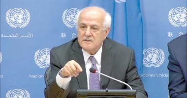 مندوب فلسطين بالأمم المتحدة يدعو مجلس الأمن الدولي لسرعة وقف العدوان الاسرائيلي