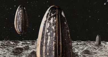 ناسا تطلق مهمة PRIME-1 لدراسة الجليد القمرى لتعزيز استكشاف القمر ناسا تطلق مهمة PRIME-1 لدراسة الجليد القمرى لتعزيز استكشاف القمر