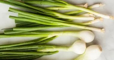 6 فوائد صحية لإضافة البصل الأخضر لنظامك الغذائي اليومى 6 فوائد صحية لإضافة البصل الأخضر لنظامك الغذائي اليومى
