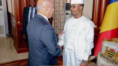 رئيس جمهورية تشاد يستقبل نائب رئيس مجلس الوزراء للتنمية الصناعية وزير الصناعة والنقل المصري وممثلي وفد شركات القطاع العام والخاص المصري المتخصصة في مجال مشروعات البنية التحتية ومشروعات النقل والمناطق الصناعية