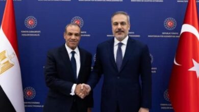 بيان مشترك بين وزيري خارجية مصر وتركيا