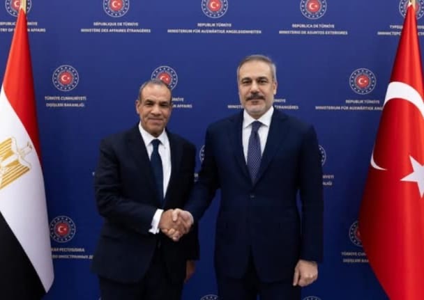 بيان مشترك بين وزيري خارجية مصر وتركيا