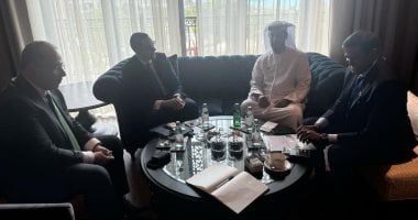 "موانئ دبي" تعرض على وزارة الاستثمار التعاون لزيادة التجارة الخارجية لمصر