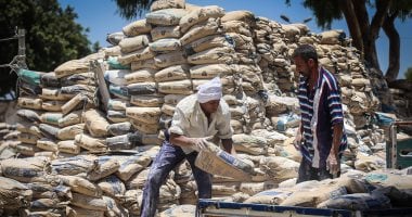 كم يبلغ سعر طن الأسمنت اليوم الإثنين 3 مارس 2025 فى الأسواق