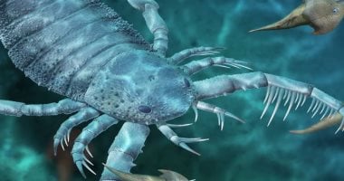 العثور على أول حفرية لعقرب بري عمرها 125 مليون سنة فى الصين