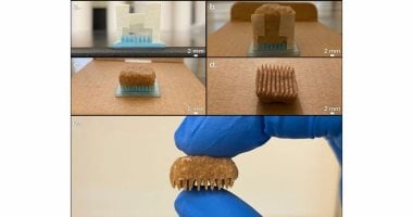 تقنيات متقدمة لتحويل الخبز لأقطاب كربونية لتطبيقات تحلية المياه تقنيات متقدمة لتحويل الخبز لأقطاب كربونية لتطبيقات تحلية المياه