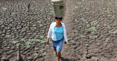 نقص المعلومات وارتفاع الوفيات.. علماء يحذرون من عواقب طرد 800 خبير مناخ