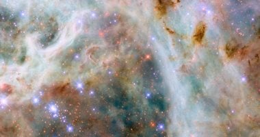 هابل يلتقط صورة مذهلة لسحابة العنكبوت يكشف عن أسرار جديدة للكون هابل يلتقط صورة مذهلة لسحابة العنكبوت يكشف عن أسرار جديدة للكون