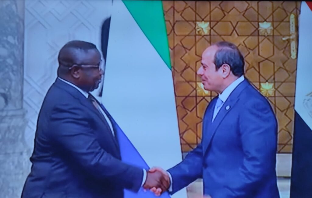 رئيس سيراليون ناكد على الالتزام بتعزيز علاقاتنا التاريخية وندعم القطاع الخاص في البلدين لاستكشاف فرص الاستثمار رئيس سيراليون ناكد على الالتزام بتعزيز علاقاتنا التاريخية وندعم القطاع الخاص في البلدين لاستكشاف فرص الاستثمار