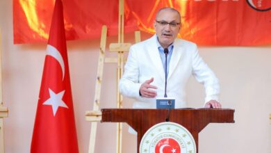 100 مصور تركي قدموا إلى القاهرة بغرض السياحة والتقطوا صورا لأجمل المعالم والمناظر الطبيعية في القاهرة.