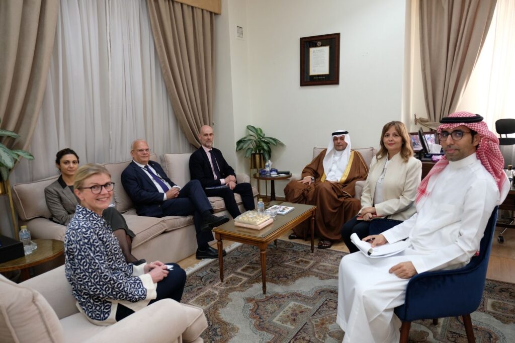 مناقشة التحديات على الساحة الدولية في لقاء منزلاوي ومسؤول مملكة السويد مناقشة التحديات على الساحة الدولية في لقاء منزلاوي ومسؤول مملكة السويد