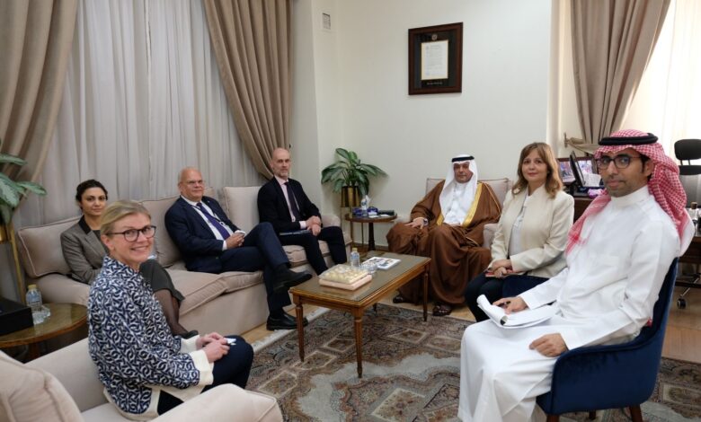 مناقشة التحديات على الساحة الدولية في لقاء منزلاوي ومسؤول مملكة السويد