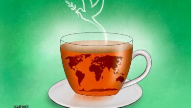 عبق الشاي النيبالي” احتفالية ثقافية وفنية بمكتبة مصر العامة