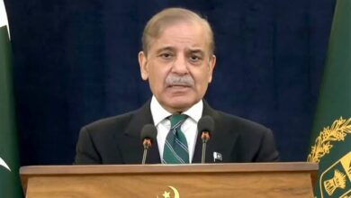 رئيس وزراء باكستان محمد شهباز شريف يُهنئ الرئيس المصري عبد الفتاح السيسي بعيد الأضحى المبارك