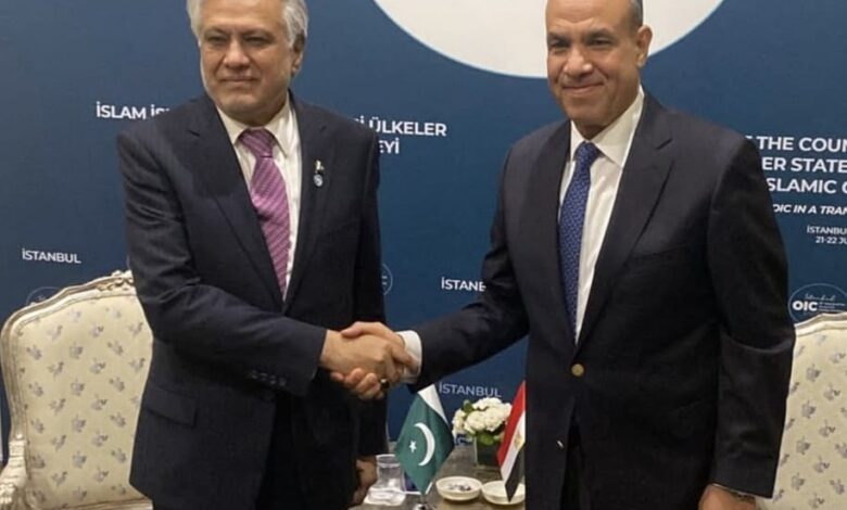 وزير الخارجية والهجرة يلتقي بنظيره الباكستاني في اسطنبول
