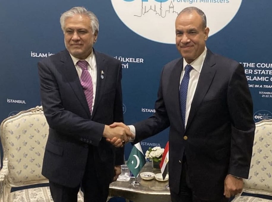 وزير الخارجية والهجرة يلتقي بنظيره الباكستاني في اسطنبول وزير الخارجية والهجرة يلتقي بنظيره الباكستاني في اسطنبول