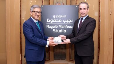 مصر وباكستان تبحثان تعزيز التعاون الإعلامي والثقافي