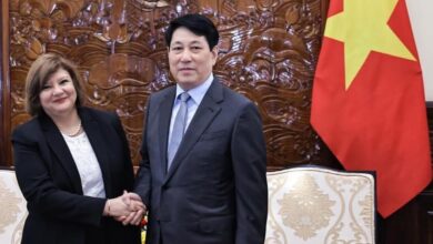 الرئيس الفيتنامي يشيد بما حققته مصر من انجازات اقتصادية واجتماعية في السنوات الأخيرة