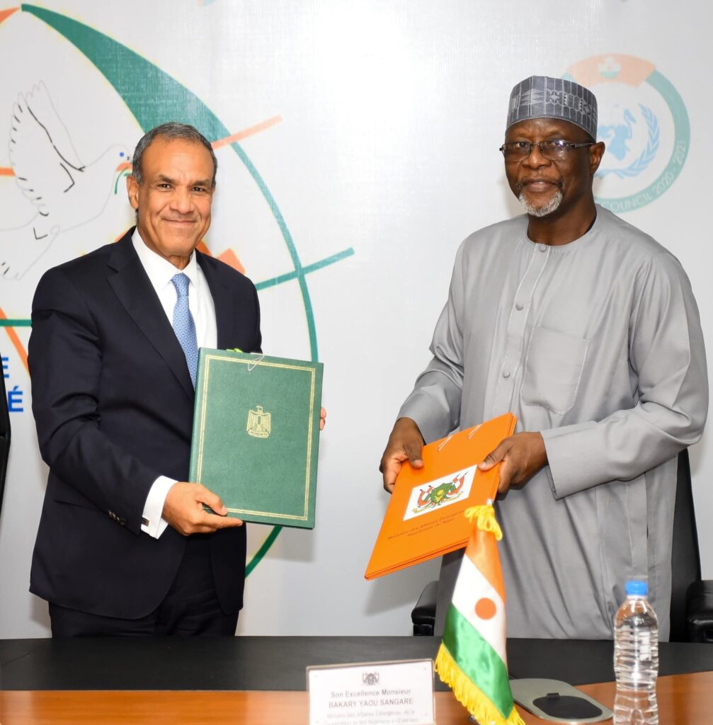 مشاورات سياسية بين وزيرى خارجية مصر والنيجر في نيامي