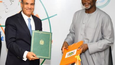 مشاورات سياسية بين وزيرى خارجية مصر والنيجر في نيامي