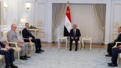 مباحثات ومشاورات مصرية تركية على أعلي مستوي