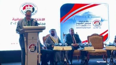 رئيس بعثة جامعة الدول العربية يشارك في برنامج المتابعة الدولية لانتخابات مجلس الشيوخ المصري 2025