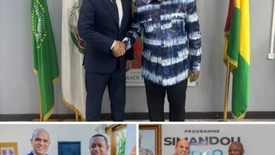 سفير مصر في كوناكري يلتقي عدد من الوزراء الغينيين