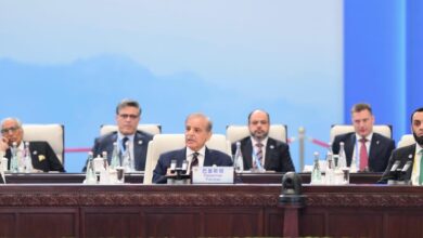 رئيس الوزراء يؤكد التزام باكستان بمنظمة شنغهاي للتعاون ويدعو إلى الحوار والسلام والتواصل الإقليمي