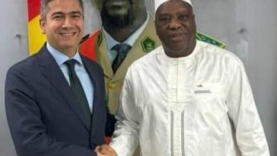 سفير مصر في كوناكري يلتقي وزير الخارجية الغيني