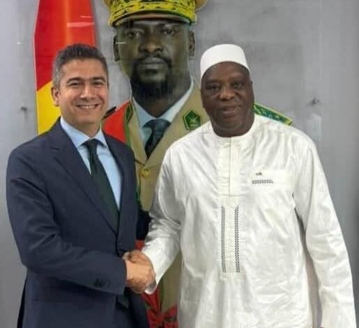 سفير مصر في كوناكري يلتقي وزير الخارجية الغيني سفير مصر في كوناكري يلتقي وزير الخارجية الغيني