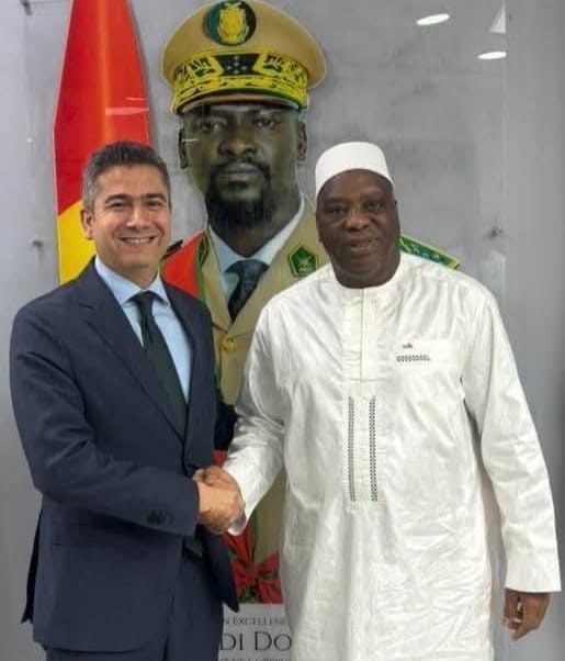 سفير مصر في كوناكري يلتقي وزير الخارجية الغيني