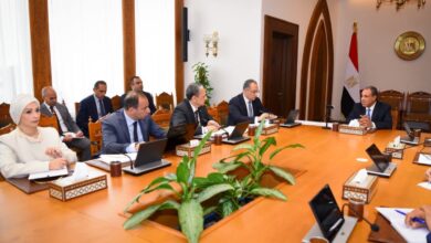 وزير الخارجية يتابع استعدادات الوزارة لافتتاح المتحف المصرى الكبير