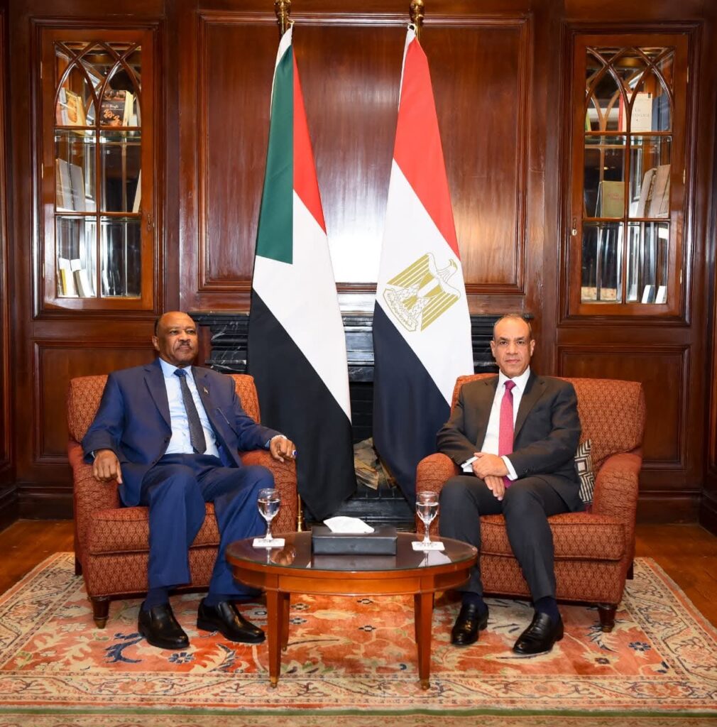 وزير الخارجية يستقبل نظيره السودانى وزير الخارجية يستقبل نظيره السودانى