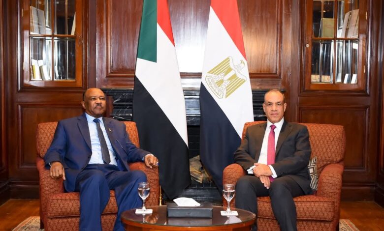 وزير الخارجية يستقبل نظيره السودانى