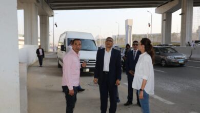 محافظ الجيزة