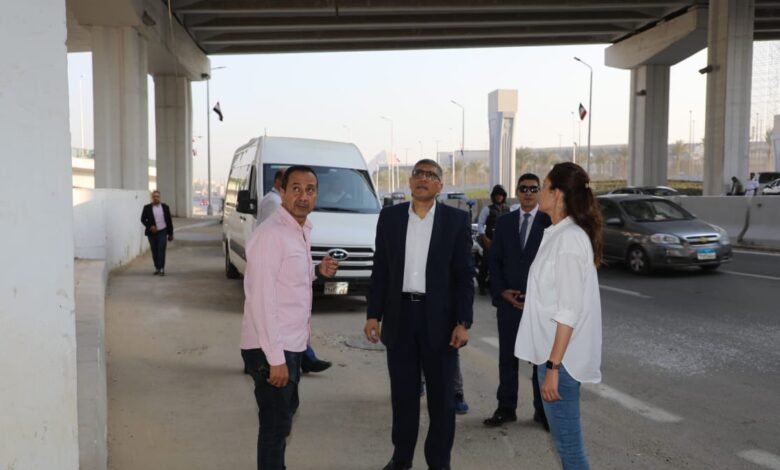 محافظ الجيزة