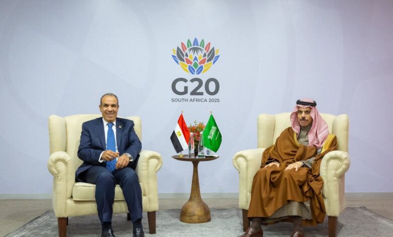 لقاء وزير الخارجية مع وزير الخارجية السعودي على هامش أعمال قمة مجموعة العشرين بجوهانسبرج